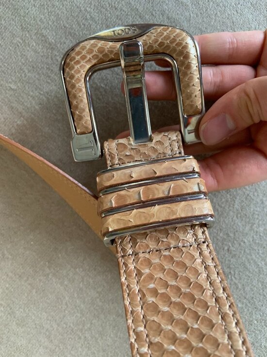 Tod\'s snakeskin belt
